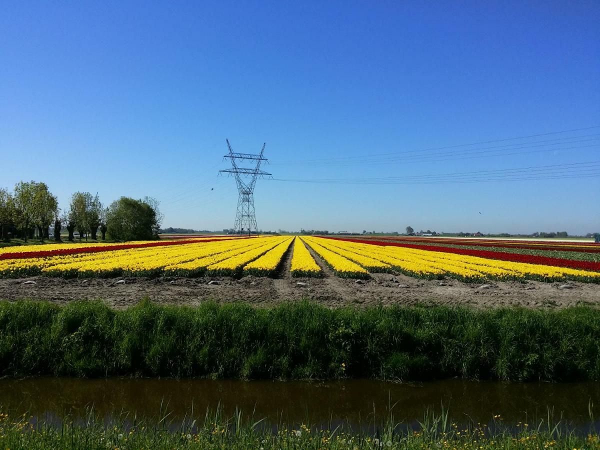 NATUURHUISJE met veranda Daar bij de Molen Alkmaar Oterleek Buitenkant foto